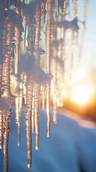 file_95448732