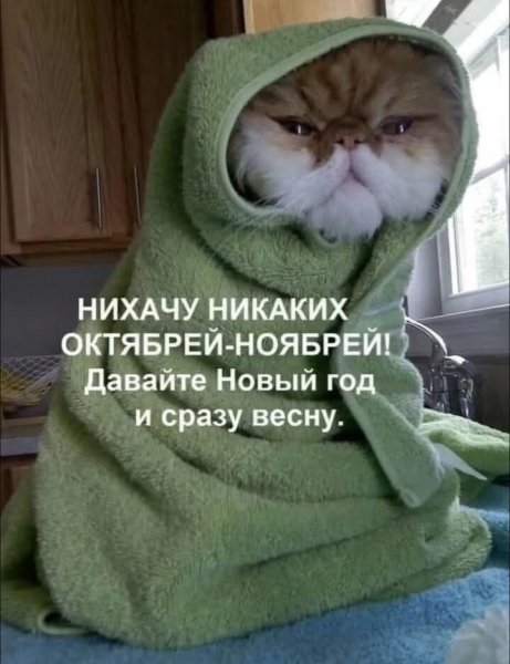 FB IMG 1759568950951