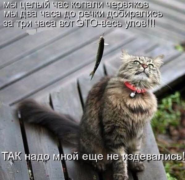 FB IMG 1777318325321