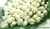 file_933341