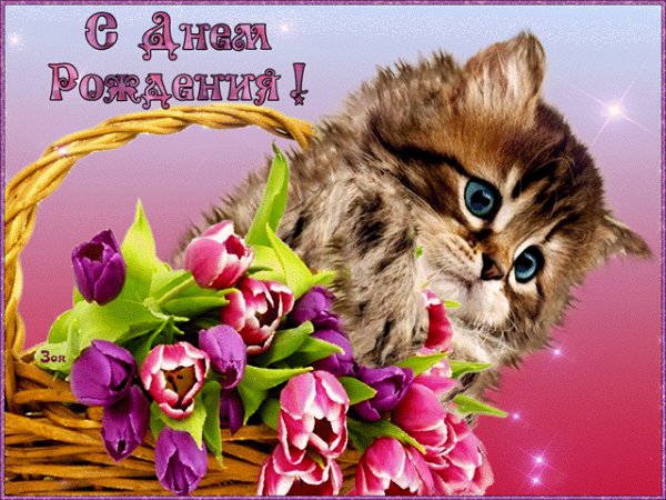 С Днём Рождения!