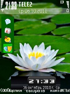 Waterlily by Paul