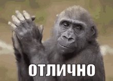 image (8)