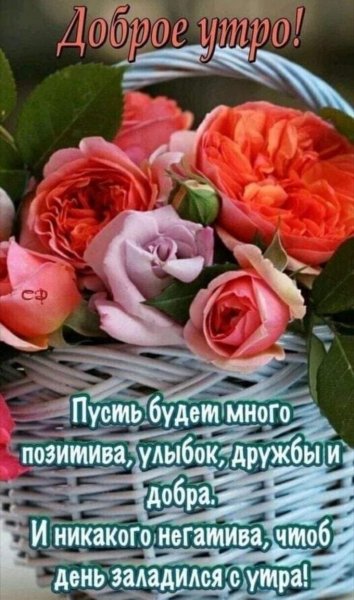 Доброе утро