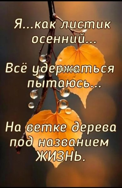 file_100843104