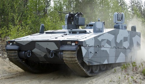 armadillo