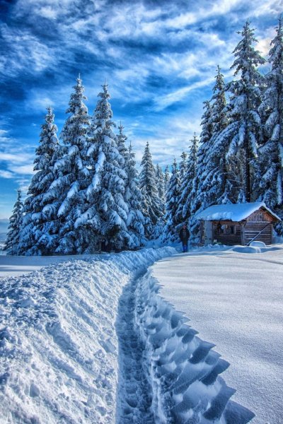 Снежная зима