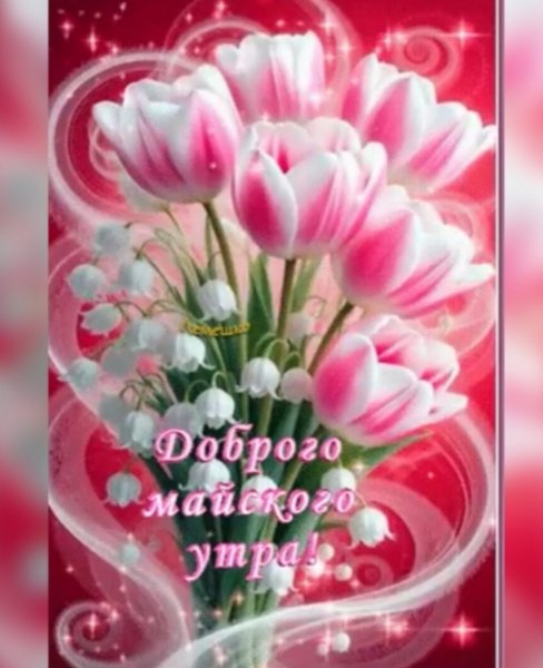 IMG 20260508 140914