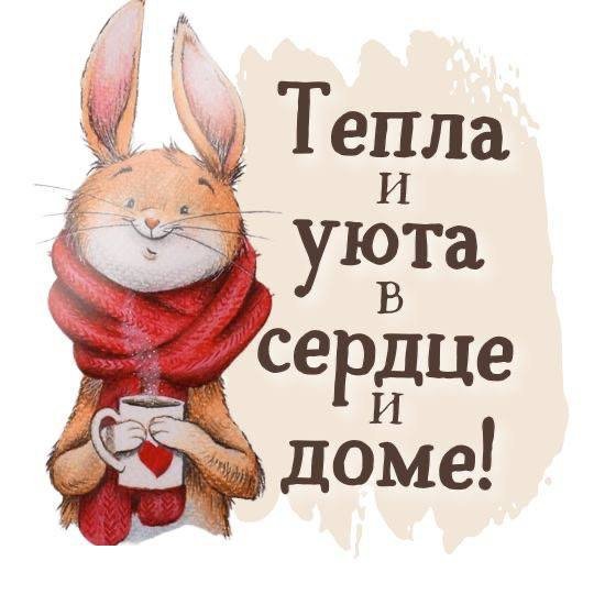 IMG 20230210 154608 937
