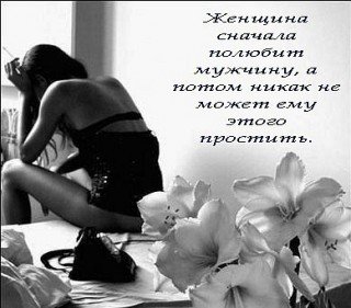 С94434642.p.320.320.0