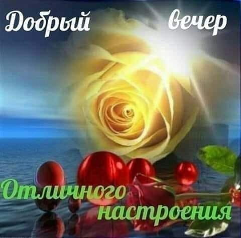 Добрый вечер