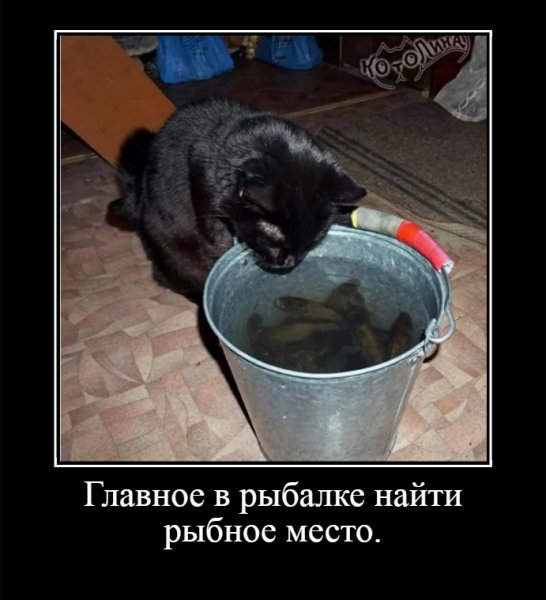 Главное в рыбалке найти рыбное место