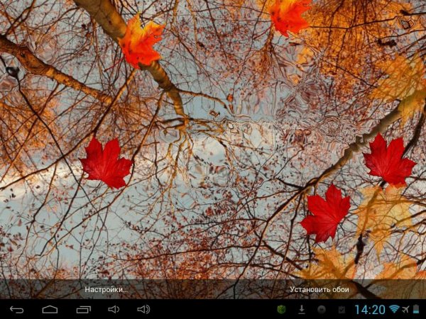 autumn-maple-v2.0.7
