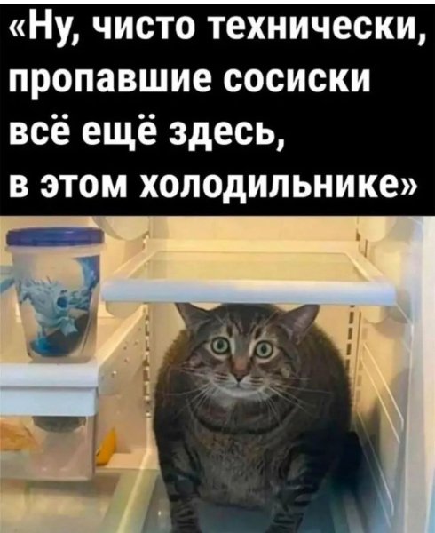 FB IMG 1776447163029