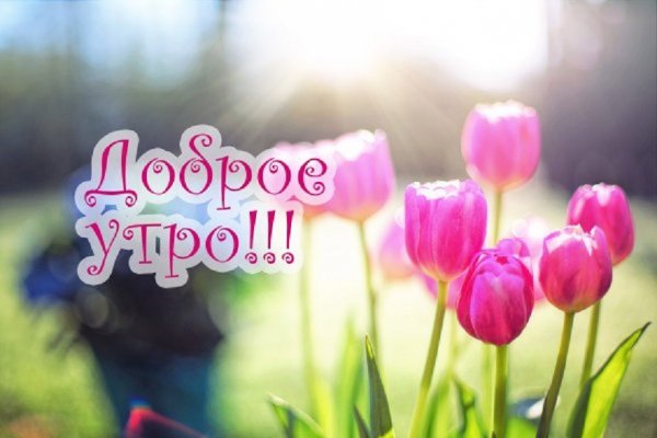 ДОБРОЕ УТРО!!!