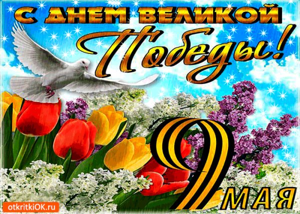 IMG 20190508 223758