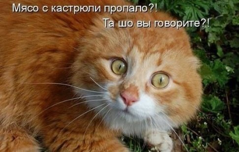 IMG 20140503 114614