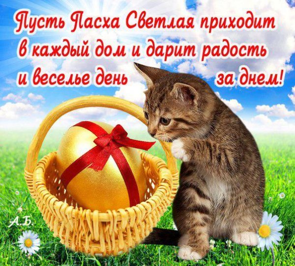 otkritki-Otkritka-kartinka-otkritka-na-pashu-otkritka-s-