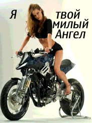 Милый ангел