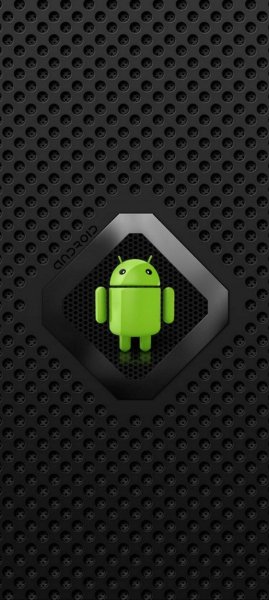 adapted 1080x2408 1758191360