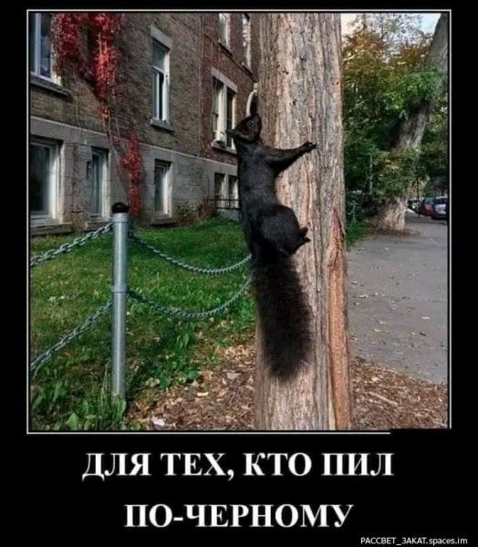 FB IMG 17041253701737561-