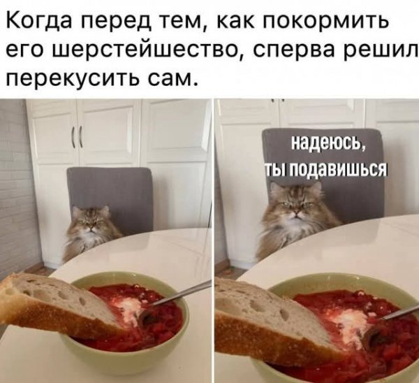 FB IMG 1772305412023