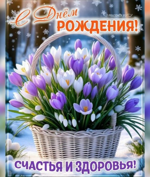 IMG 20260323 005552