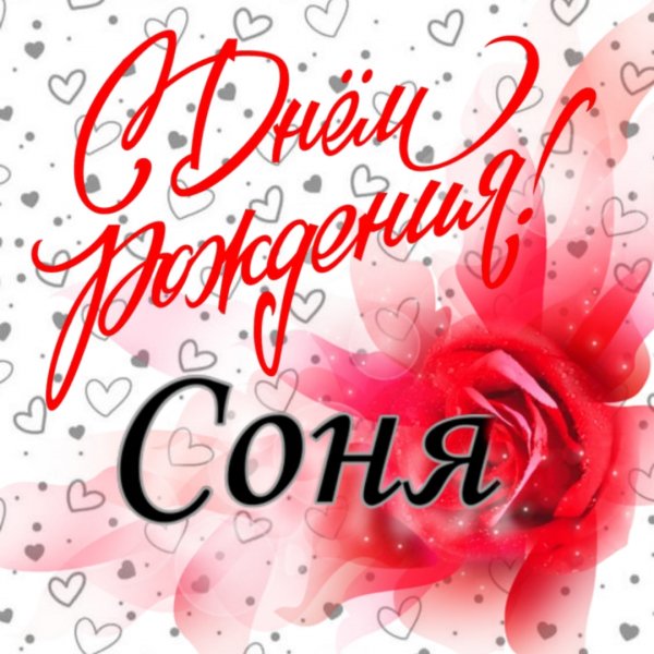 С днём рождения Соня