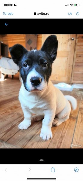 SDGHKNBVCXSFHJNVCXTCHY