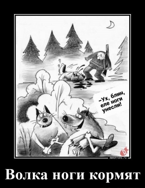 Волка ноги кормят