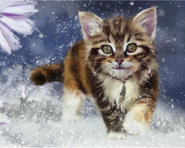 Котёнок и снег.. (4)