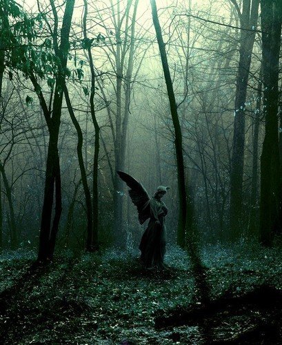 Каменный ангел