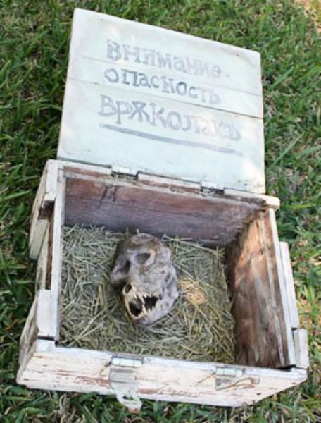 Череп оборотня..