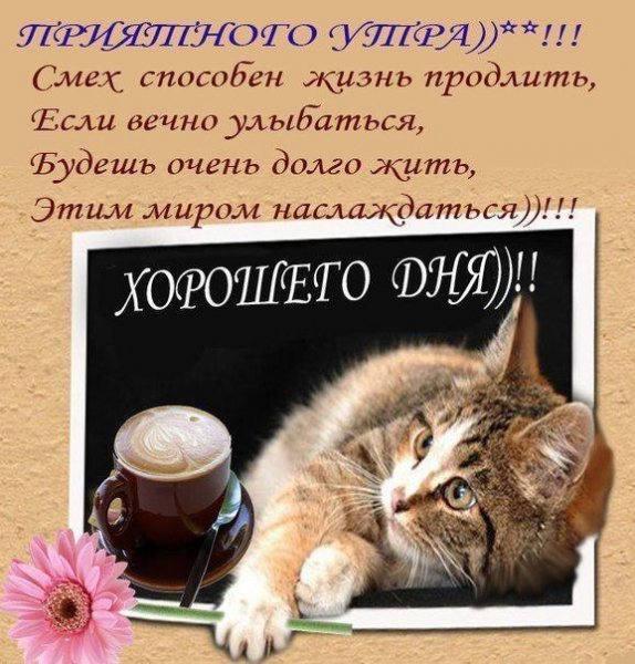 IMG 20190423 152432