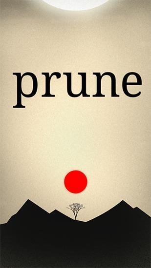 Prune 1.0.4