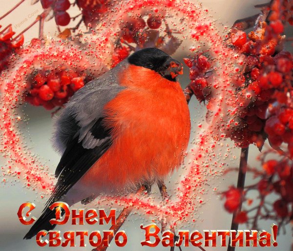 С Днём св.Валентина!