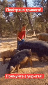 Signal-2023-12-11-22-41-56-022