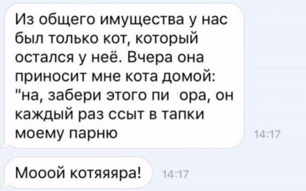 fzta2br41qg