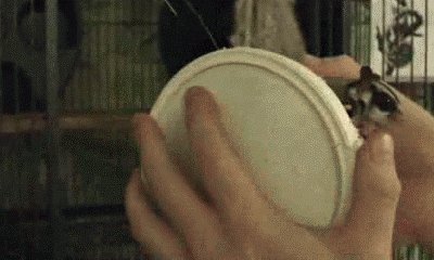 ))