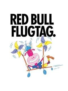red bull flugtag