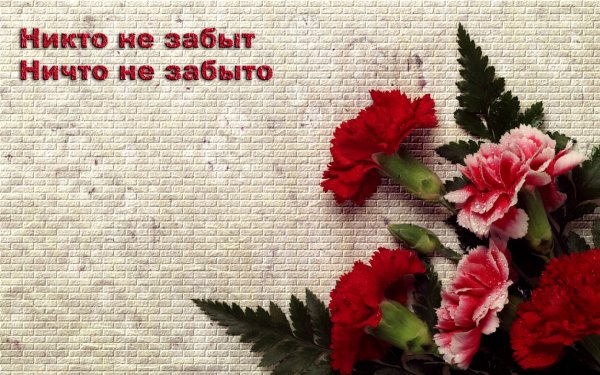 9 мая обои ПК
