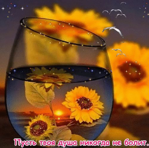 Пусть душа никогда не болит