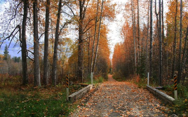 forets194