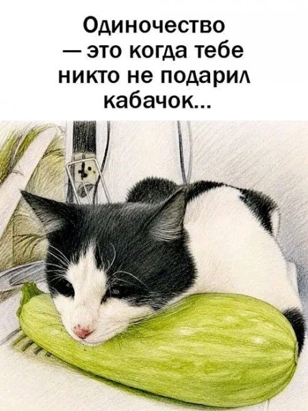 file_103322881