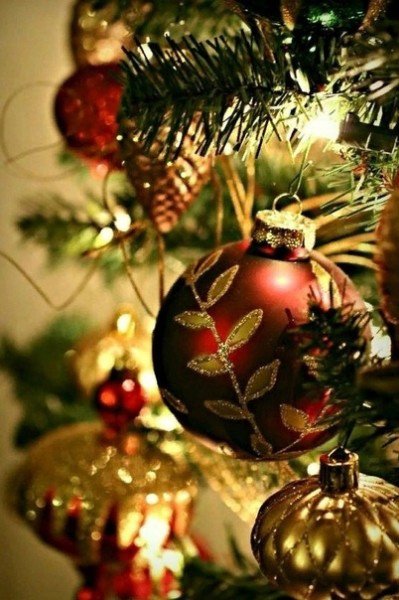 file_95232079