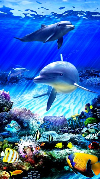 file_101646361