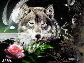 file_58159267