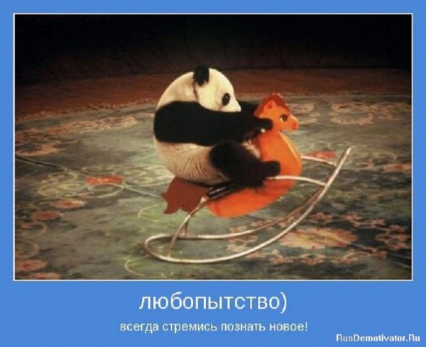 Любопытство