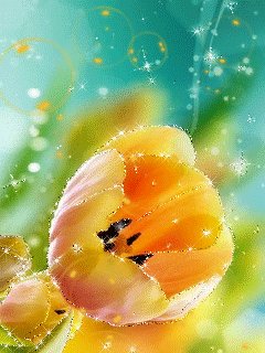 file_49839546