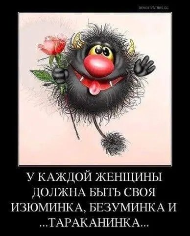 file_97582368